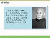 人教版语文三年级下册 第一单元 3 荷花 第一课时课件PPT