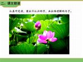 人教版语文三年级下册 第一单元 3 荷花 第一课时课件PPT