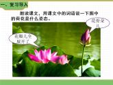 人教版语文三年级下册 第一单元 3 荷花 第二课时课件PPT