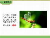 人教版语文三年级下册 第一单元 4 昆虫备忘录课件PPT