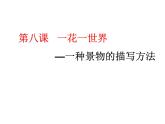 六年级下册语文课件-作文指导：第八课 一花一世界 部编版（共28张PPT）
