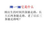 六年级下册语文课件-作文指导：第十一课 时间变变变 景色换换换 部编版(共23张PPT).