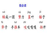 三年级语文上册教学课件-9.那一定会很好2-部编版