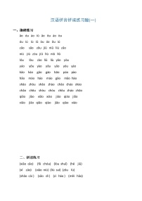 人教版一年级上册汉语拼音拼读练习题5套