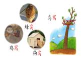第六课《树和喜鹊》（课件）-2021-2022学年语文一年级下册
