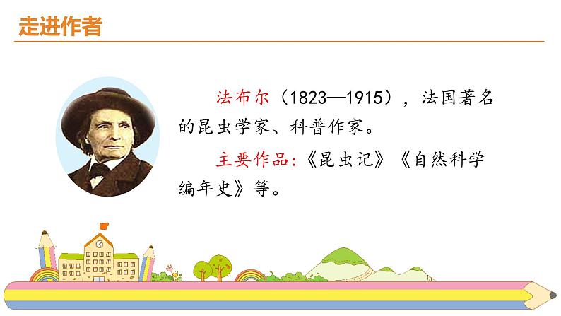 14.《蜜蜂》课件PPT02