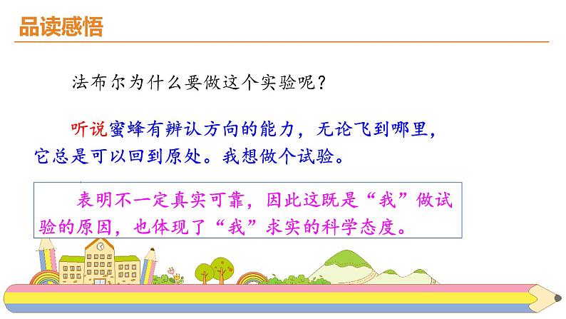 14.《蜜蜂》课件PPT05