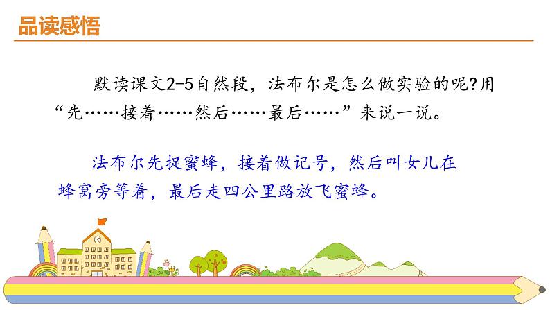 14.《蜜蜂》课件PPT06
