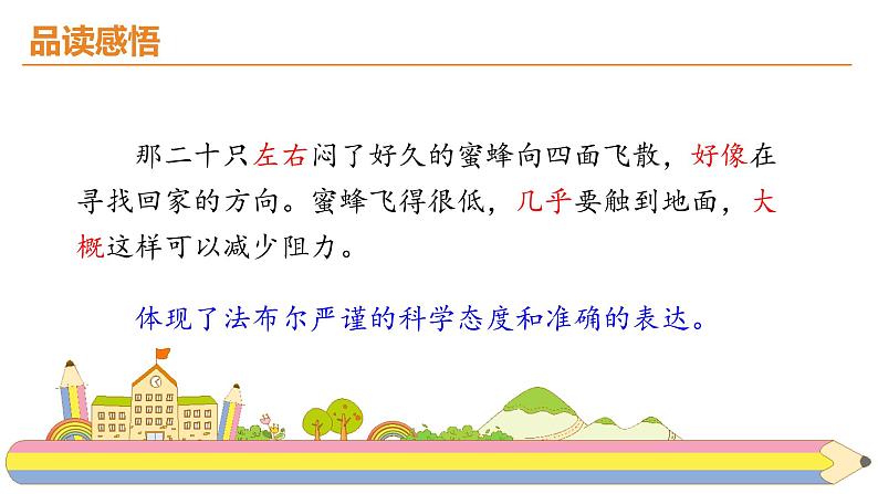 14.《蜜蜂》课件PPT07