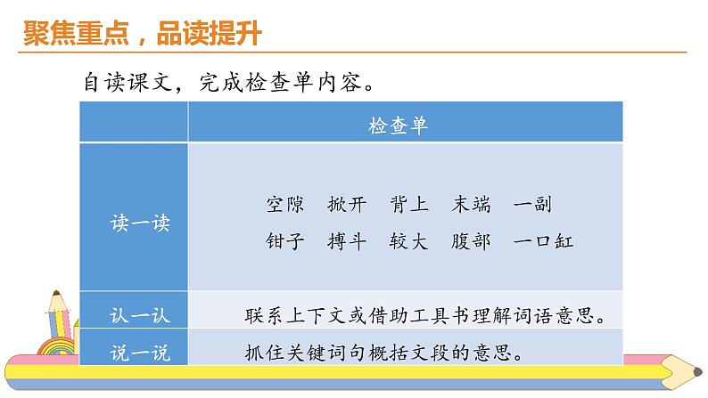 15.《小虾》课件PPT第3页