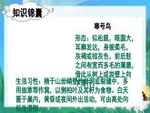 人教部编版二年级语文上册 13寒号鸟 课件+音频素材