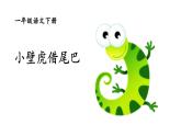 人教部编版一年级下册课文小壁虎借尾巴同步备课ppt课件