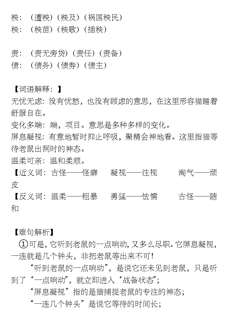 人教版小学语文四年级下册13课《猫》知识要点总结课件PPT第3页