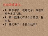 部编版语文二年级上册 5 玲玲的画（课件）
