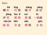 部编版语文二年级上册 5 玲玲的画（课件）