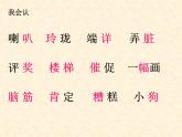 部编版语文二年级上册 5 玲玲的画（课件）