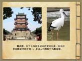 部编版语文二年级上册 8.登鹳雀楼 (2)（课件）