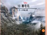 部编版语文二年级上册 13  寒号鸟（课件）