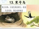 部编版语文二年级上册 13.寒号鸟(1)（课件）