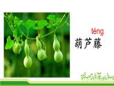 部编版语文二年级上册 14.《我要的是葫芦》（课件）
