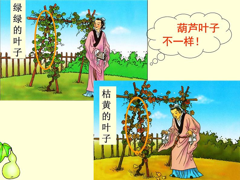 部编版语文二年级上册 14.我要的是葫芦(13)（课件）第4页