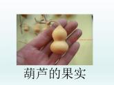 部编版语文二年级上册 14.我要的是葫芦(7)（课件）