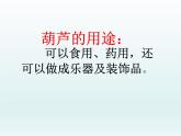 部编版语文二年级上册 14.我要的是葫芦(7)（课件）