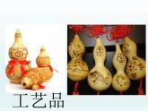 部编版语文二年级上册 14.我要的是葫芦(7)（课件）