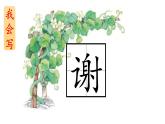 部编版语文二年级上册 14.我要的是葫芦(3)（课件）