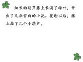 部编版语文二年级上册 14.我要的是葫芦(4)（课件）