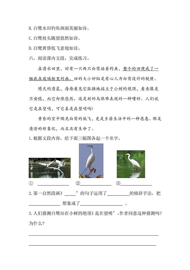 部编版五年级上册语文整本书课时练附答案第3页