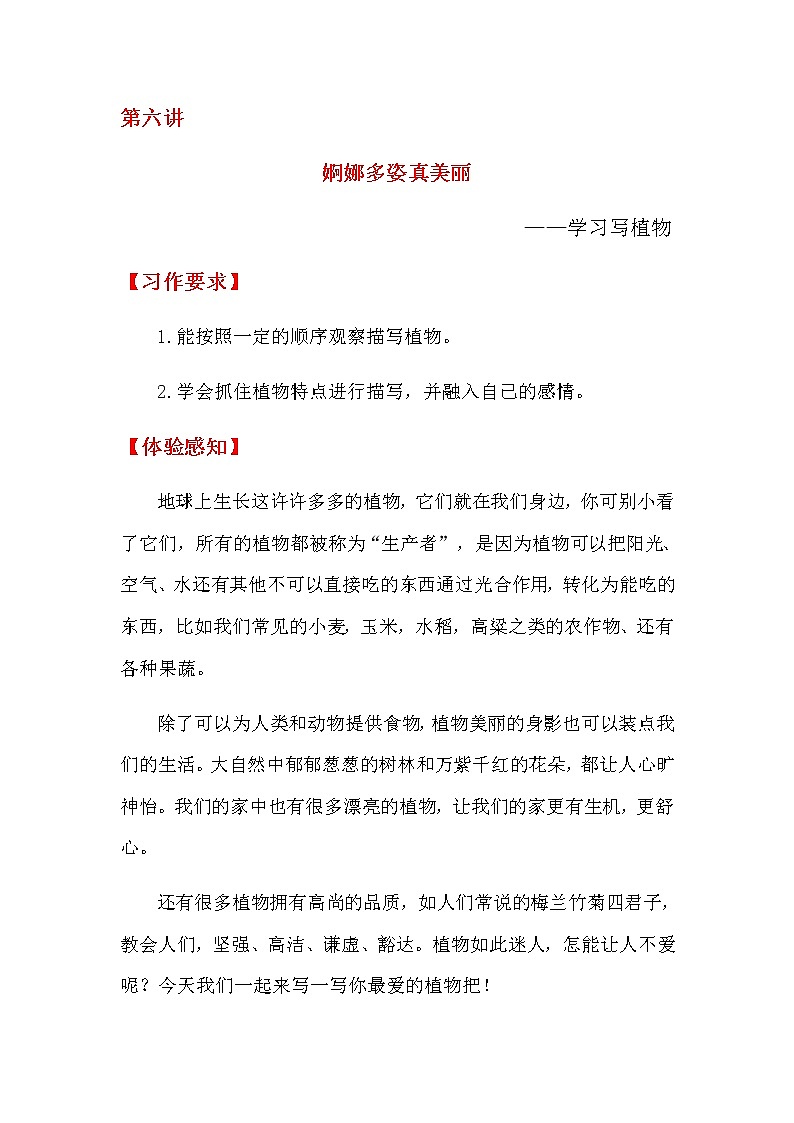 金讲作文二年级第六讲婀娜多姿真美丽第1页