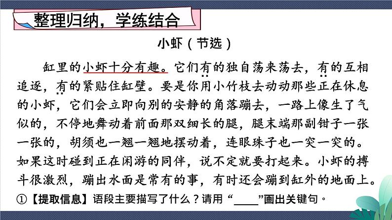 2-6 考场阅读大练兵：课内阅读轻轻顺 期末复习课件-2021-2022学年语文三年级下册第4页