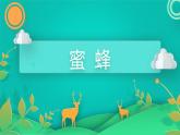 部编版语文三年级下册 14 蜜蜂 (1)课件PPT