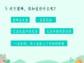 部编版语文三年级下册 14 蜜蜂 (1)课件PPT