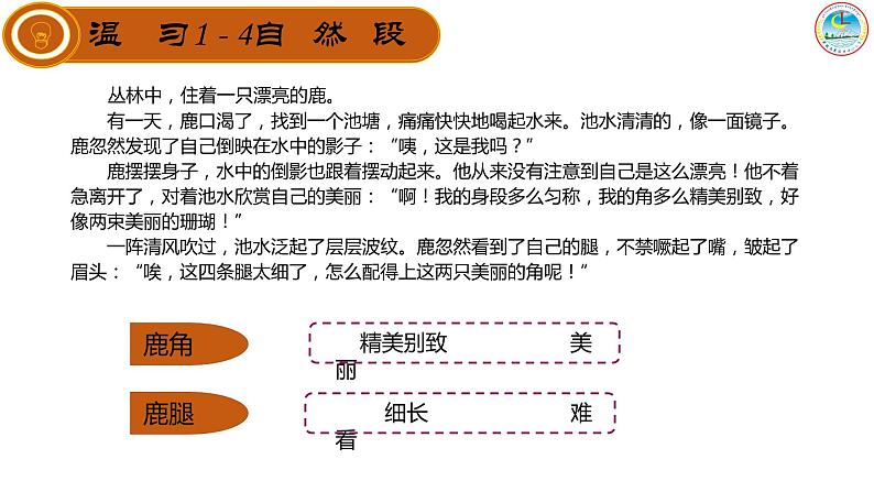 7 鹿角和鹿腿(1)(课件)第5页