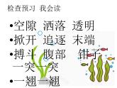 15 小虾(课件) 部编版语文三年级下册