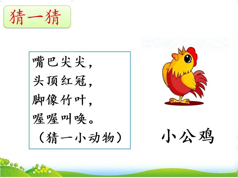 课文5 小公鸡和小鸭子第1页