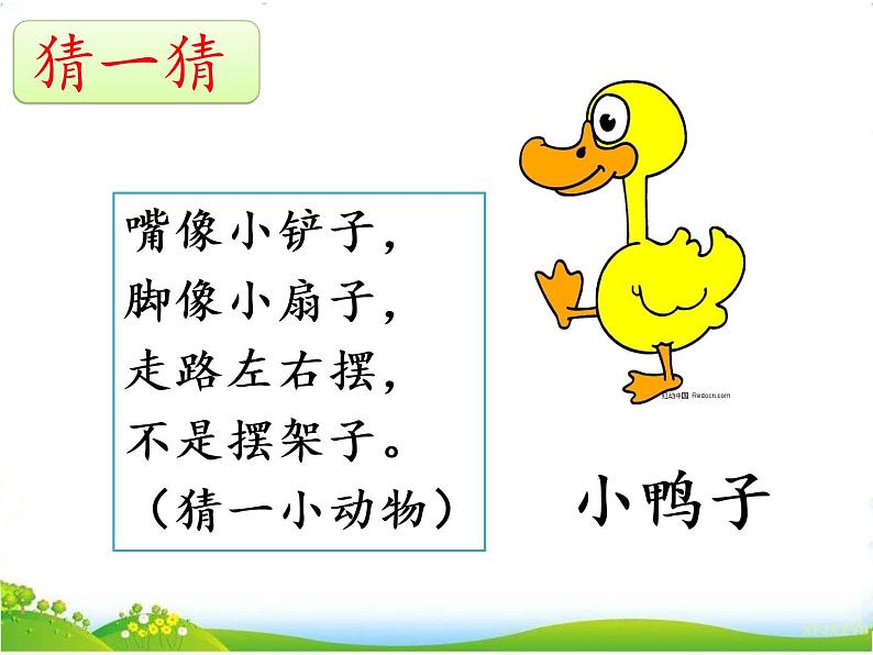 课文5 小公鸡和小鸭子第2页