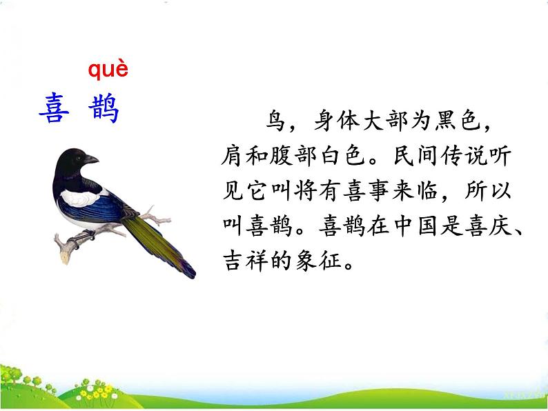 6、树和喜鹊第1页