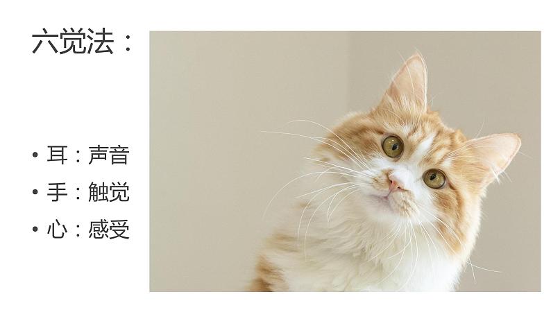 暑假二升三作文第一讲（课件+教案）08