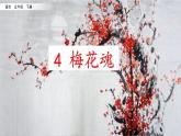 4 梅花魂备课课件PPT