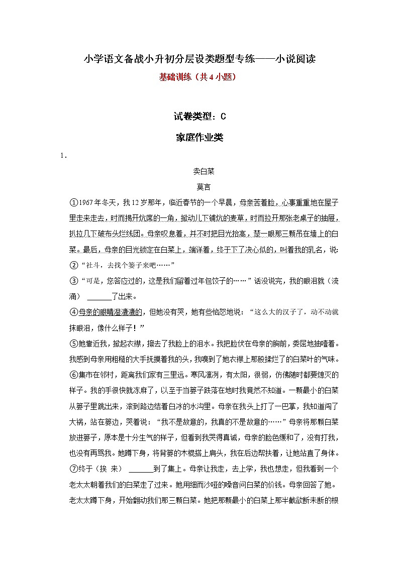 小学语文备战小升初分层设类题型专练——小说阅读试题卷第1页