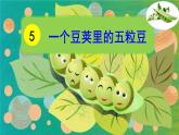 ５、一个豆荚里的五粒豆　课件