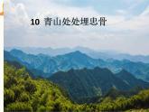 五年级下学期第四单元10课青山处处埋忠骨说课课件教案
