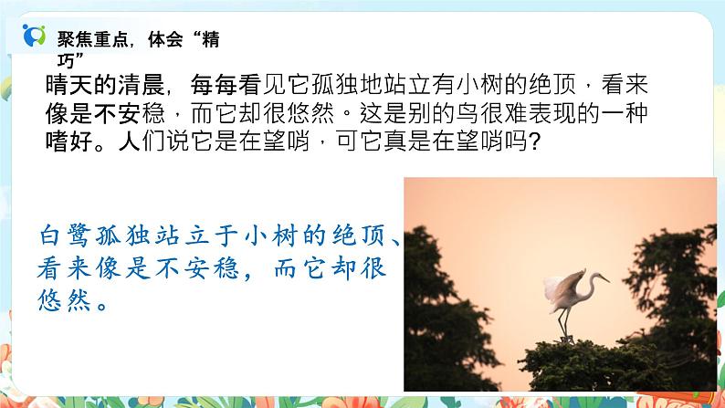 1.2《白鹭》课件+教案+导学案05