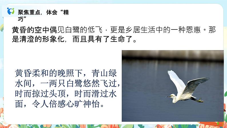 1.2《白鹭》课件+教案+导学案07
