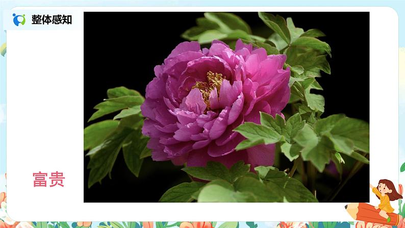 六年级上册《丁香结》第一课时课件PPT+教案+练习（含音视频素材）05