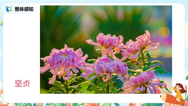 六年级上册《丁香结》第一课时课件PPT+教案+练习（含音视频素材）06