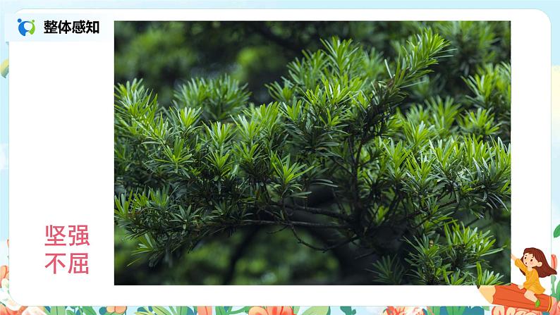 六年级上册《丁香结》第一课时课件PPT+教案+练习（含音视频素材）07